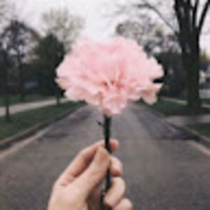 Meet your Posher, Regan